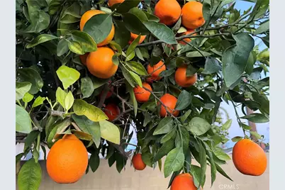 5039 Tyler, Chino, CA 91710 - Photo 21