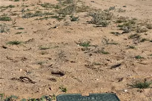 68423 Rainier, 29 Palms MCB, CA 92277 - Photo 21