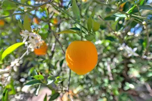 9828 Flying Mane, Rancho Cucamonga, CA 91737 - Photo 75