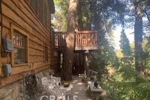 402 Burnt Mill Canyon Rd, Cedarpines Park, CA 92322 - Photo 13