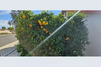 2431 El Rancho Circle, Hemet, CA 92545 - Photo 23