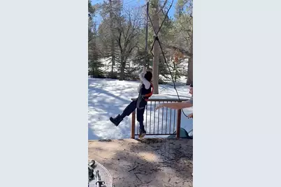 42143 Switzerland, Big Bear Lake, CA 92315 - Photo 61