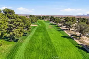 14827 Blue Grass Dr, Helendale, CA 92342 - Photo 35