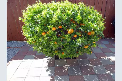 5113 Langham, Covina, CA 91724 - Photo 35