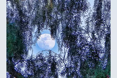 11064 Plainview, Tujunga, CA 91042 - Photo 49