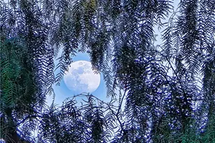 11064 Plainview, Tujunga, CA 91042 - Photo 49