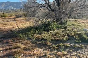 35022 Carson St, Lucerne Valley, CA 92356 - Photo 9