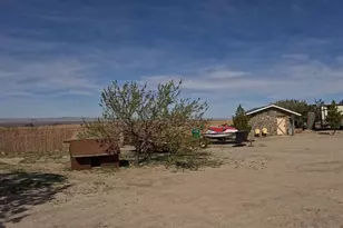 30000 Buchannon Ranch Rd, Llano, CA 93544 - Photo 19