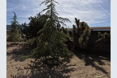 30000 Buchannon Ranch Road, Llano, CA 93544 - Photo 27