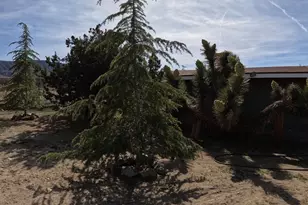 30000 Buchannon Ranch Rd, Llano, CA 93544 - Photo 27