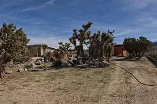 30000 Buchannon Ranch Rd, Llano, CA 93544 - Photo 13