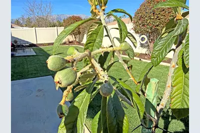 1334 Clover, Beaumont, CA 92223 - Photo 33