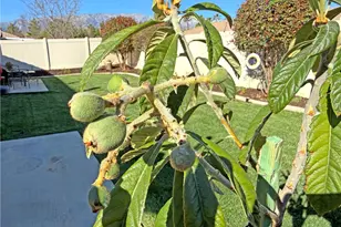 1334 Clover, Beaumont, CA 92223 - Photo 33