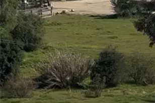 24871 Orange St, Wildomar, CA 92584 - Photo 1