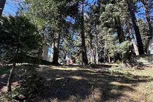 742 W Victoria Ct, Lake Arrowhead, CA 92352 - Photo 1