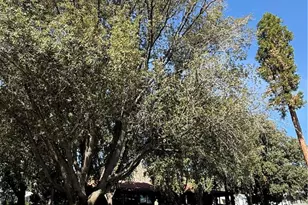 3850 Atlantic, Highland, CA 92346 - Photo 27