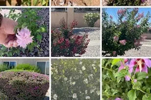 15542 Kiamichi, Apple Valley, CA 92307 - Photo 39