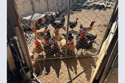 9206 Limonite, Jurupa, CA 92509 - Photo 5