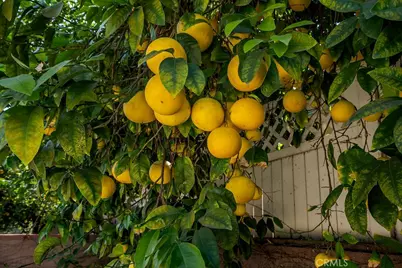 340 E Old Mill, Corona, CA 92879 - Photo 35