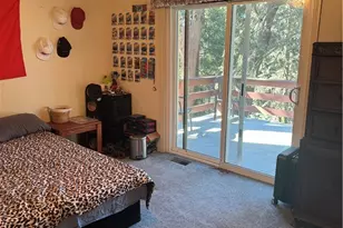 21564 Jobs Peak, Cedarpines Park, CA 92322 - Photo 19