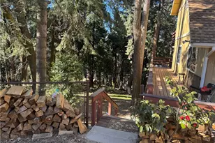 21564 Jobs Peak, Cedarpines Park, CA 92322 - Photo 9
