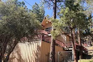 805 Antelope Mountain Dr, Big Bear City, CA 92314 - Photo 3