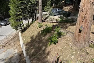 2551 Rim of the World Dr, Running Springs, CA 92382 - Photo 33