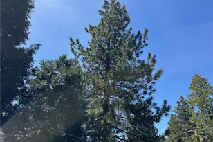 2551 Rim of the World Dr, Running Springs, CA 92382 - Photo 41