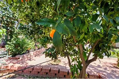 15070 Spring, Fontana, CA 92335 - Photo 45