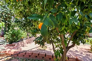 15070 Spring, Fontana, CA 92335 - Photo 45