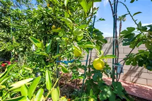 15070 Spring, Fontana, CA 92335 - Photo 39