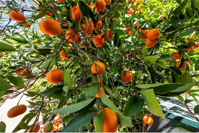 15070 Spring, Fontana, CA 92335 - Photo 47