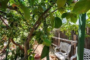 15070 Spring, Fontana, CA 92335 - Photo 43