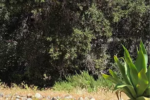 24590 Lowe, Corona, CA 92883 - Photo 29