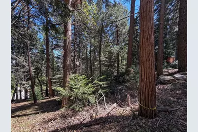 24355 Albrun, Crestline, CA 92325 - Photo 17