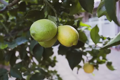 1208 Riderwood, Hacienda Heights, CA 91745 - Photo 43