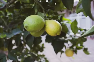 1208 Riderwood, Hacienda Heights, CA 91745 - Photo 43