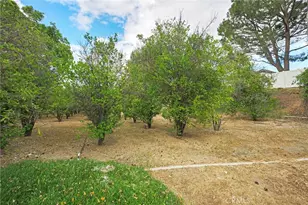 1923 Century Ave, Riverside, CA 92506 - Photo 63