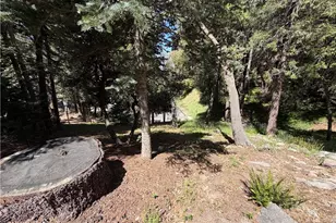 1076 Calanda, Crestline, CA 92325 - Photo 57