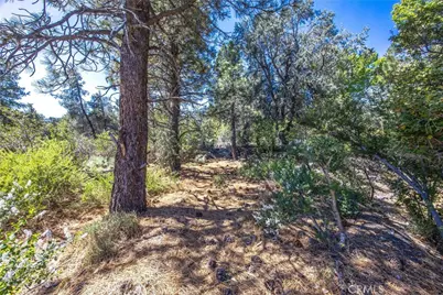 2164 Outer Hwy 2 Highway, Wrightwood, CA 92397 - Photo 25