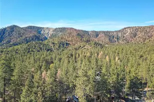 1219 Irene, Wrightwood, CA 92397 - Photo 17