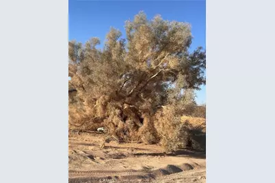 0 La Ferney, Joshua Tree, CA 92252 - Photo 5