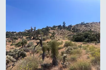 0 Mesquite Road, Pinon Hills, CA 92372 - Photo 17