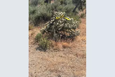 0 Mesquite Road, Pinon Hills, CA 92372 - Photo 7