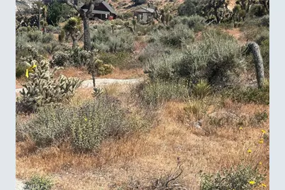 0 Mesquite Road, Pinon Hills, CA 92372 - Photo 11