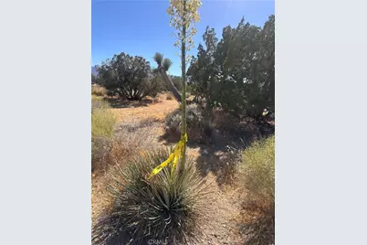 0 Coyote / Pionero Road, Pinon Hills, CA 92372 - Photo 7