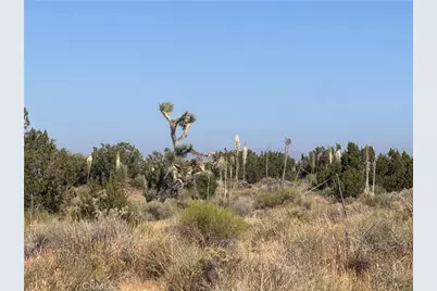 0 Coyote / Pionero Road, Pinon Hills, CA 92372 - Photo 9
