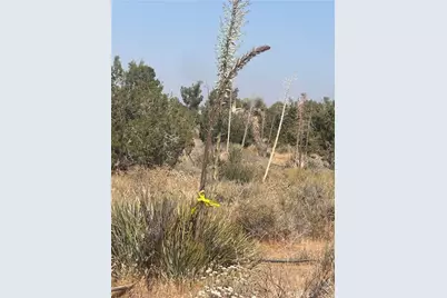 0 Coyote / Pionero Road, Pinon Hills, CA 92372 - Photo 5