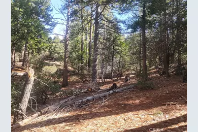 52547 Pine Cove, Idyllwild, CA 92549 - Photo 27
