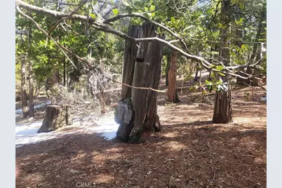 52547 Pine Cove, Idyllwild, CA 92549 - Photo 19